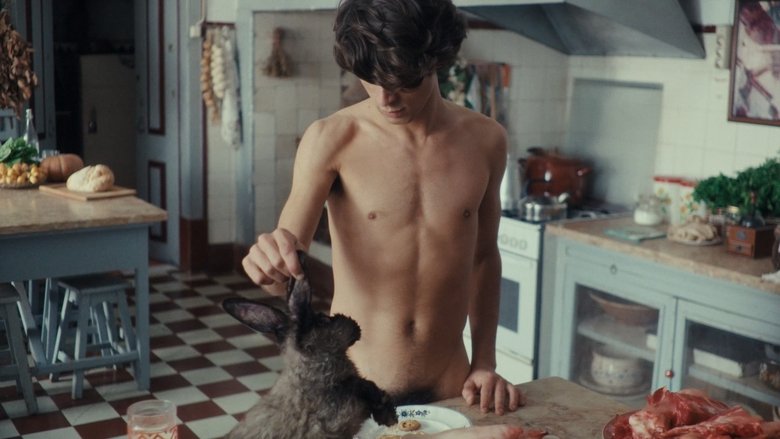 кадр из фильма Os Caçadores