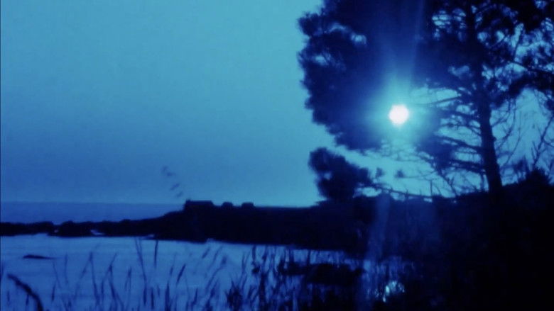 кадр из фильма Matter of Clarity