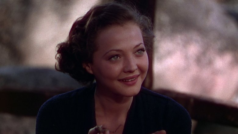 кадр из фильма Тропинка одинокой сосны