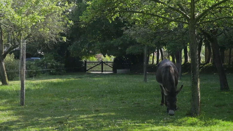 кадр из фильма Moi, Pierre Creton, Cinéaste et Normand