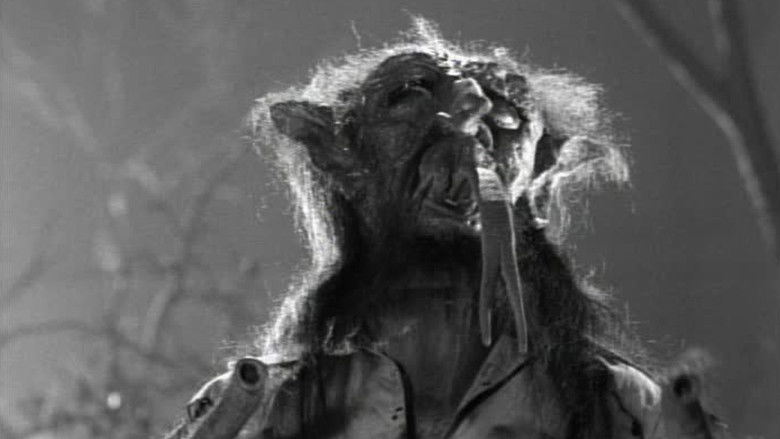 кадр из фильма Ужасный барон