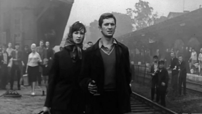 кадр из фильма Огни в Иванову ночь