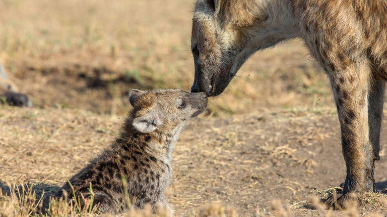 кадр из фильма Der Clan der Hyänen