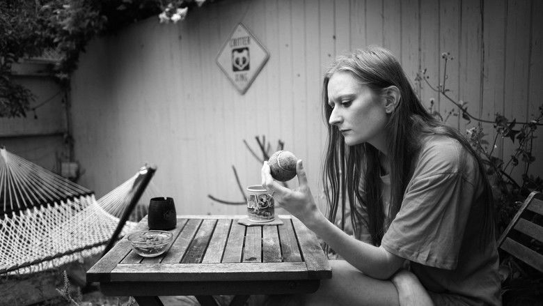 кадр из фильма Lost Dogs