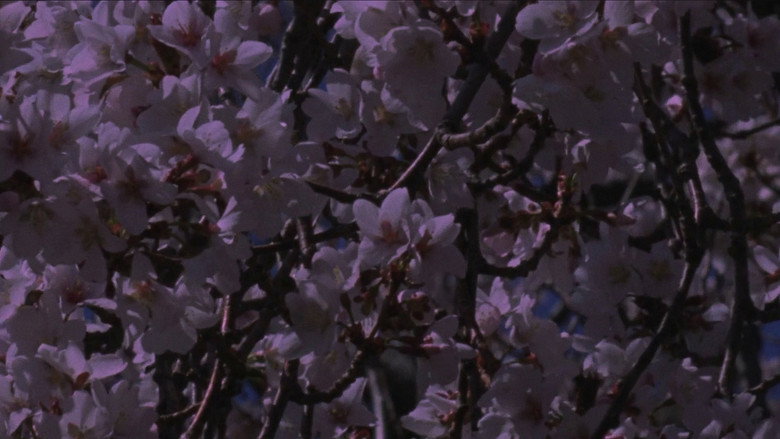 кадр из фильма Spring Songs