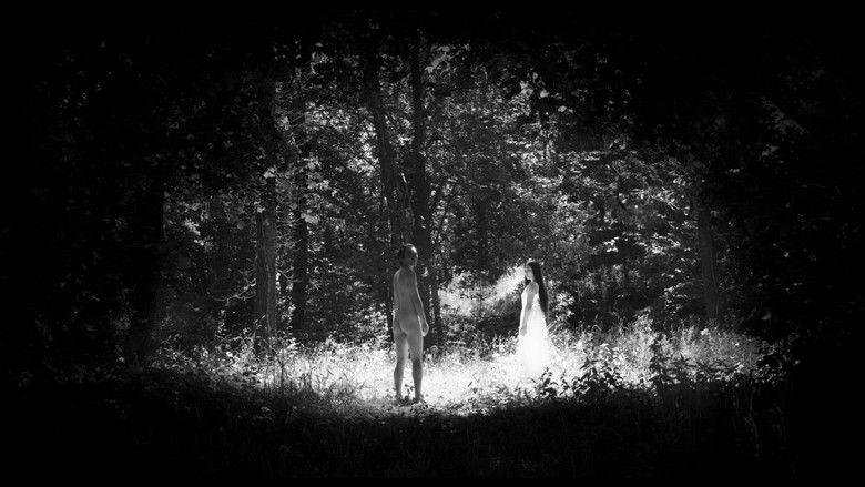 кадр из фильма Shiro