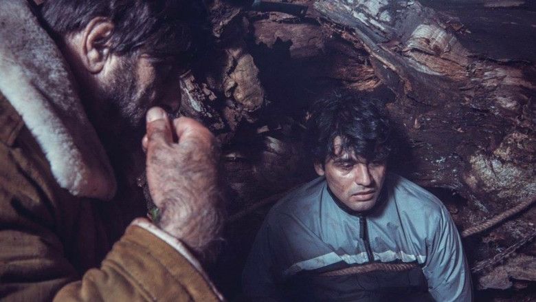 кадр из фильма Şər qarışanda