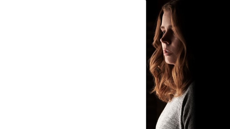 кадр из фильма Женщина в окне