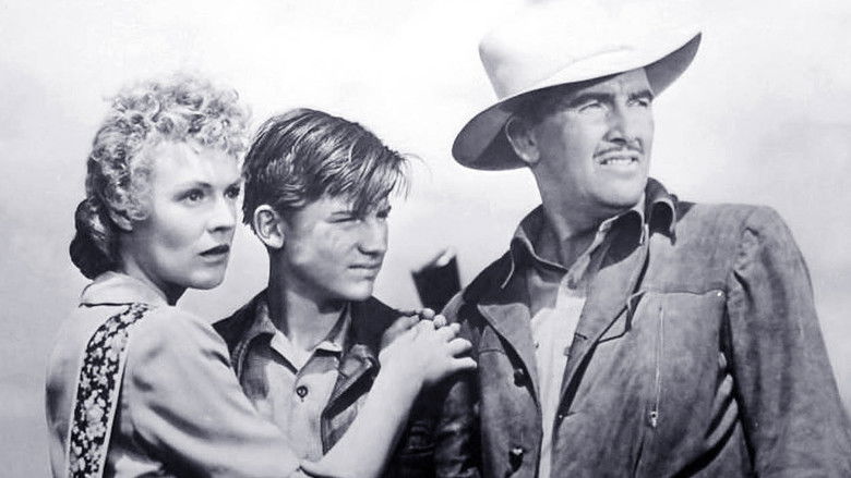 кадр из фильма My Friend Flicka