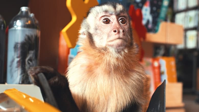 кадр из фильма Побег из зоопарка