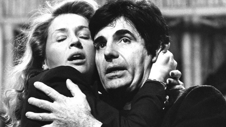 кадр из фильма Le Pirate