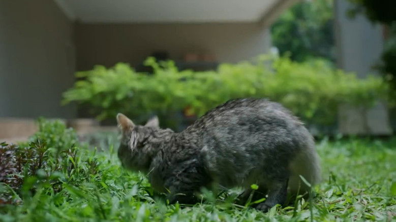 кадр из фильма Musuh Dalam Selimut