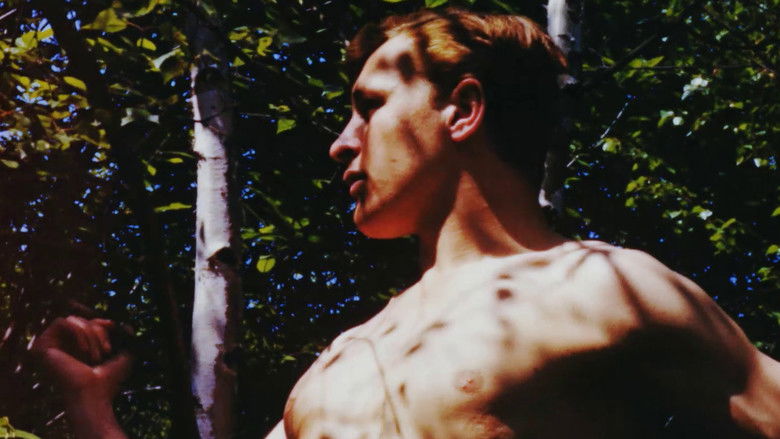 кадр из фильма Nus Masculins