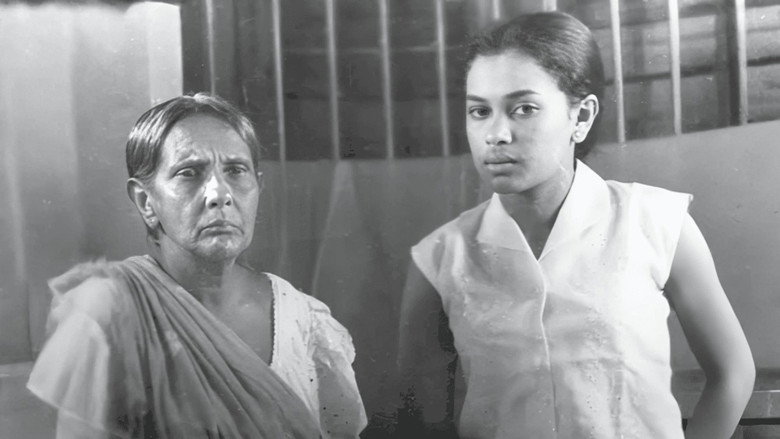 දහසක් සිතුවිලි