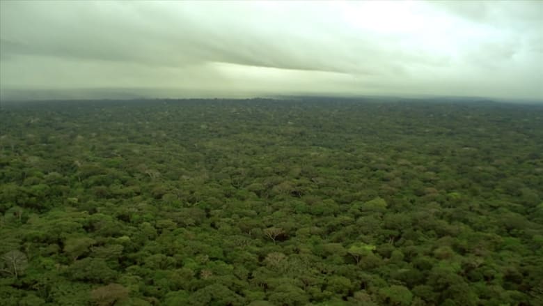 кадр из фильма Big River Man