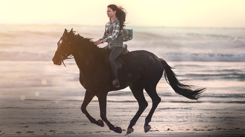 кадр из фильма Чёрная красавица