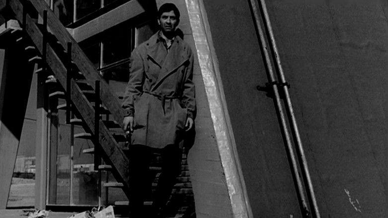 кадр из фильма Soy leyenda