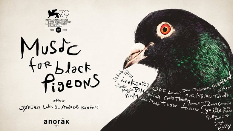 кадр из фильма Music for Black Pigeons