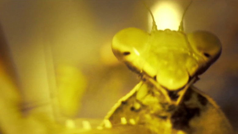 кадр из фильма Spaghetti Ramen