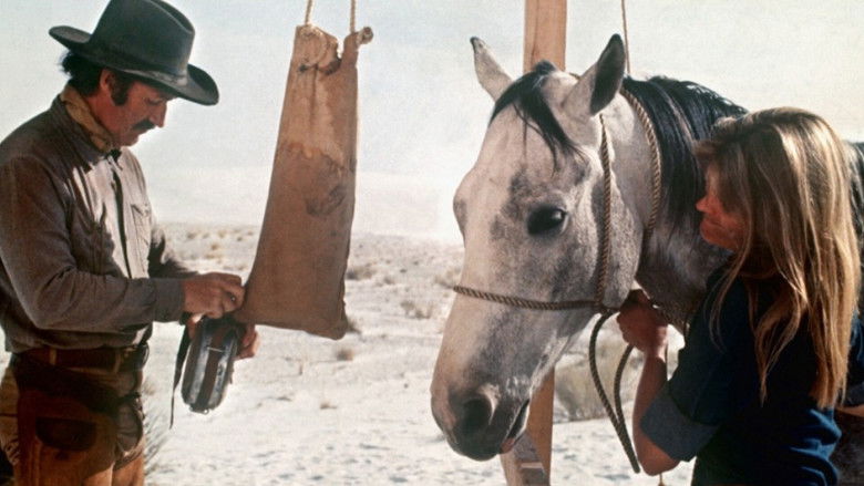 кадр из фильма Прикуси пулю