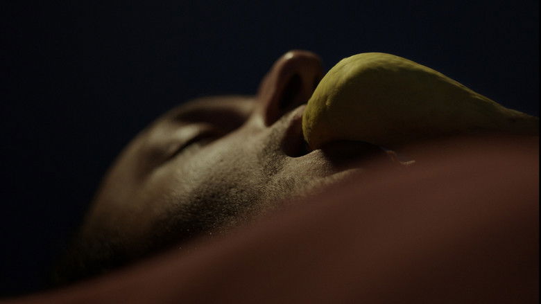 кадр из фильма Noksan