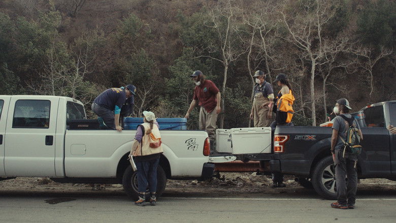 кадр из фильма Fish for the Future