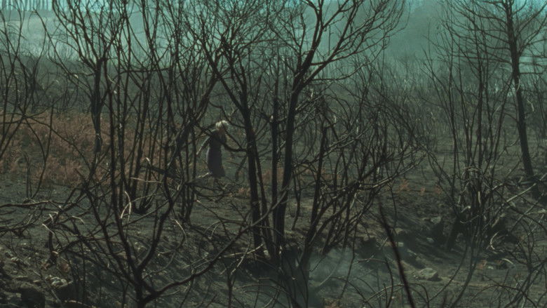 кадр из фильма И придёт огонь