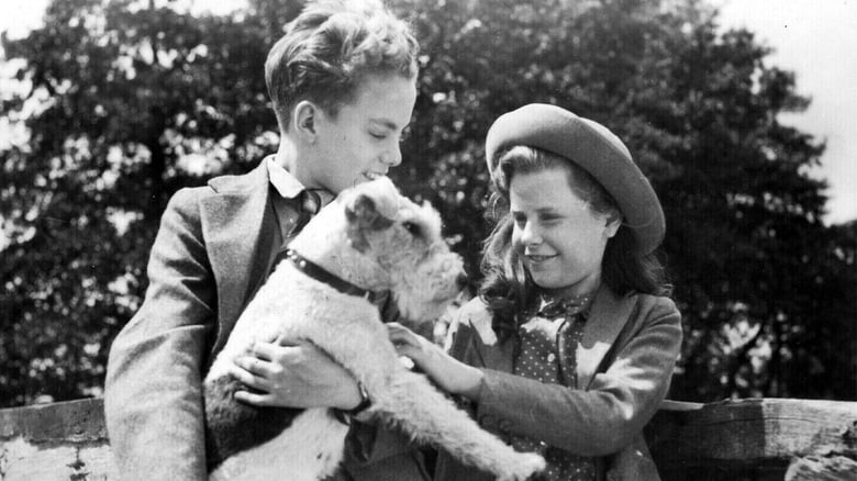 кадр из фильма They Were Sisters