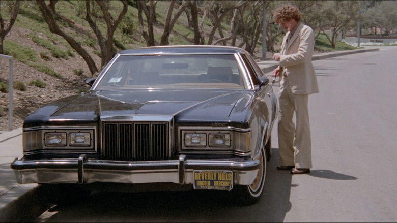 кадр из фильма California Gigolo