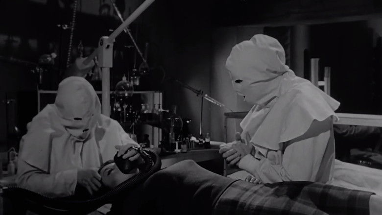 кадр из фильма Las luchadoras contra el médico asesino