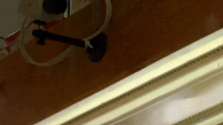 кадр из фильма Fat Tuesday