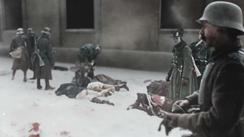 кадр из фильма Novosadsko sećanje