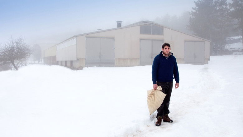 кадр из фильма Магия зверя