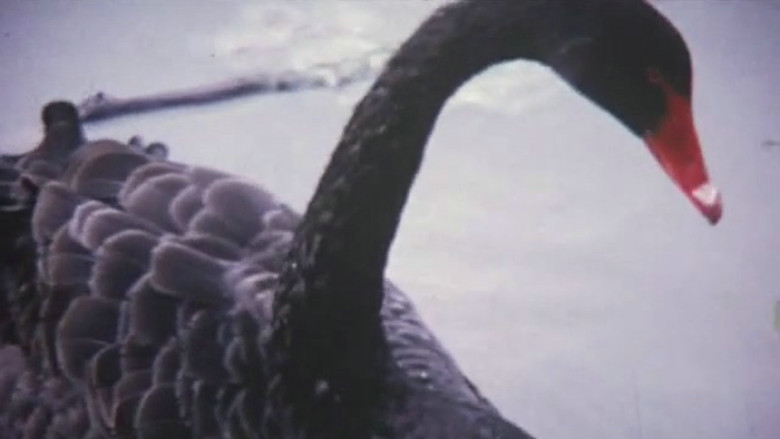 кадр из фильма Green Thoughts