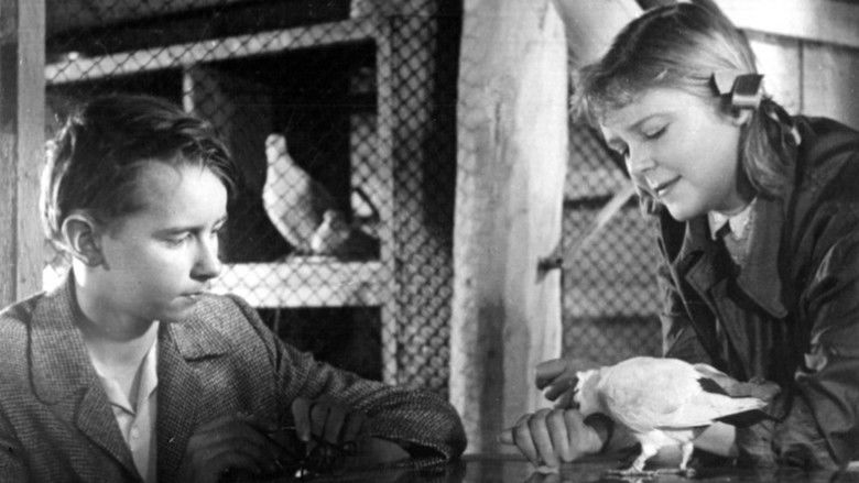 кадр из фильма Верные сердца