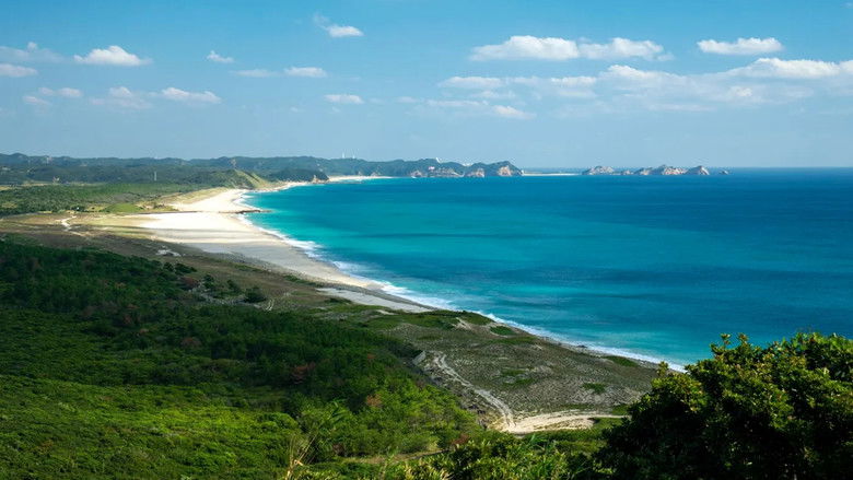 кадр из фильма Virtual Trip Okinawa Kerama