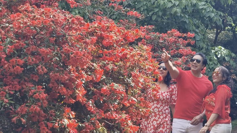 кадр из фильма Virginia Water Lake