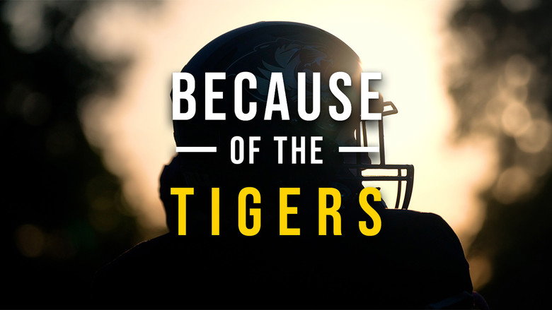 кадр из фильма Because of the Tigers