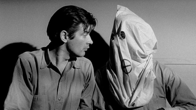 кадр из фильма Шоковый коридор