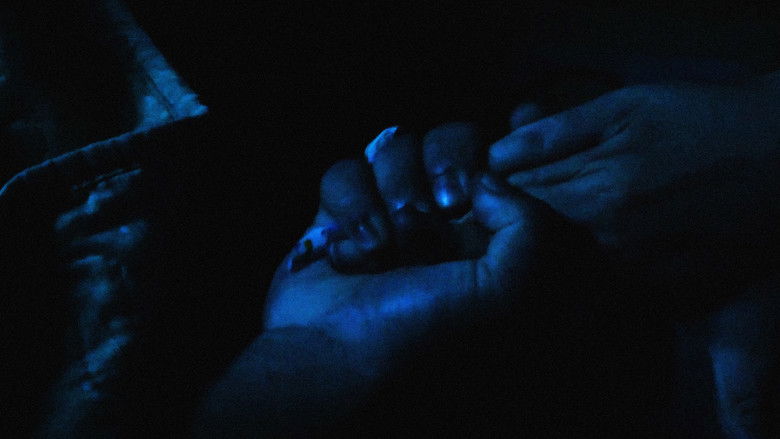 кадр из фильма En lo oscuro no se ve