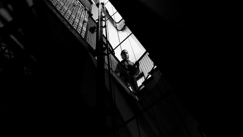 кадр из фильма Leni