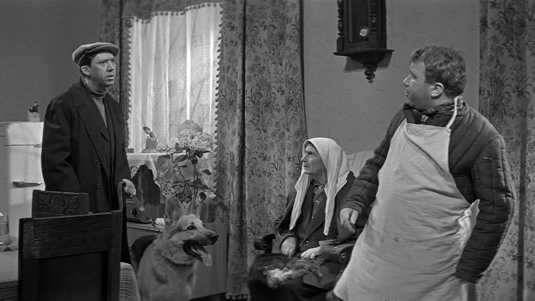 кадр из фильма Ко мне, Мухтар!