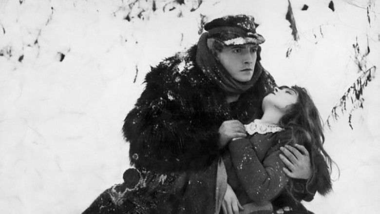 кадр из фильма Водопад жизни