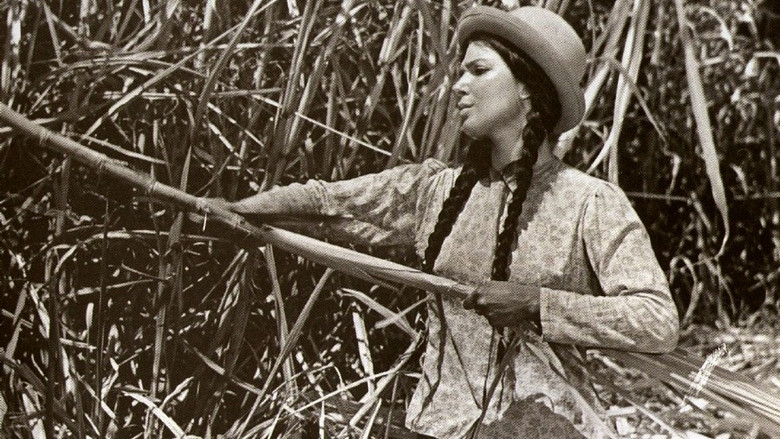 кадр из фильма Сафра