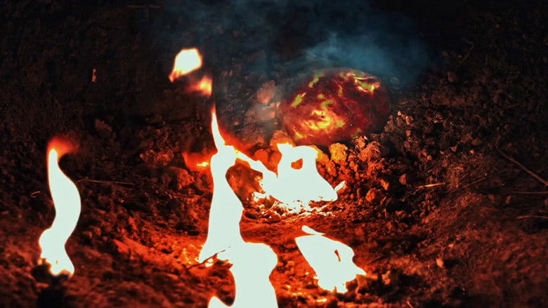 кадр из фильма Проблемы Серых пришельцев