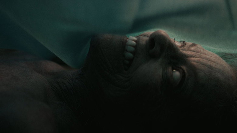 кадр из фильма Вскрытие демона