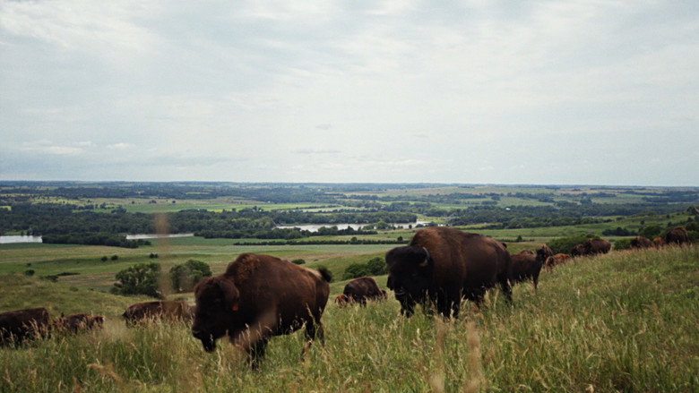 кадр из фильма Monowi