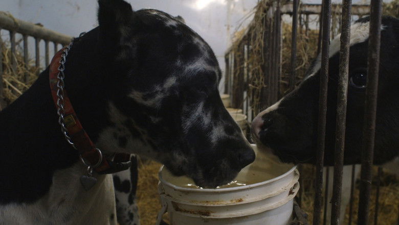 кадр из фильма Ressources