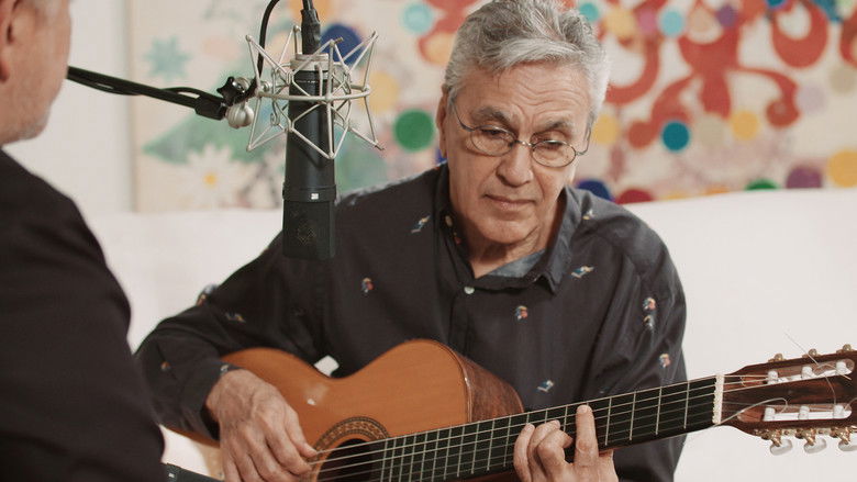 кадр из фильма Orlamundo