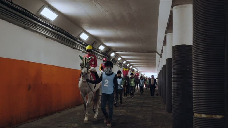 кадр из фильма 웃는 기수